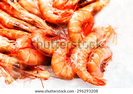 Shrimp cocktail background over white Ice on a market stall close up. Group of Unshelled tiger shrimps as gourmet seafood macro.
