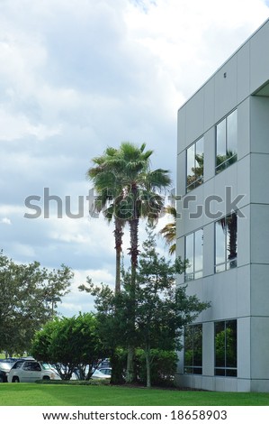 Palm trees and office building