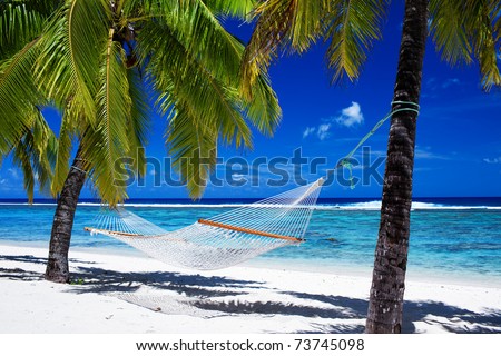 Empty hammock between palm trees on tropical beach