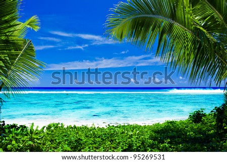 Deserted tropical beach lagoon framed by palm trees