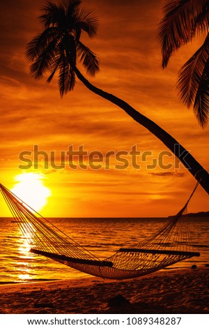 Hammock on a palm tree during beautiful sunset on tropical Fiji Islands