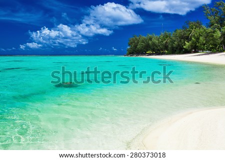 The best swimming beach with palm trees on tropical island Rarotonga, Cook Islands
