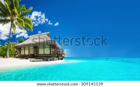 Tropical bungalow on the amazing beach with a palm tree