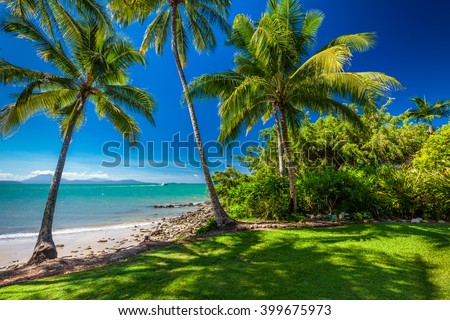 Rex Smeal Park in Port Douglas with tropical palm trees and beach, Australia