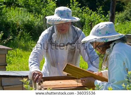 Two beekeepers work on an apiary.