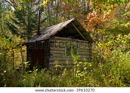 cabin in forest