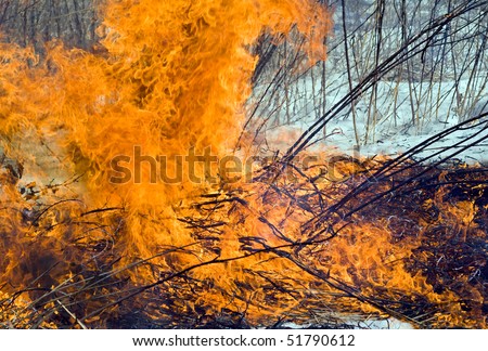 A close up of the flame of brushfire. Early spring.