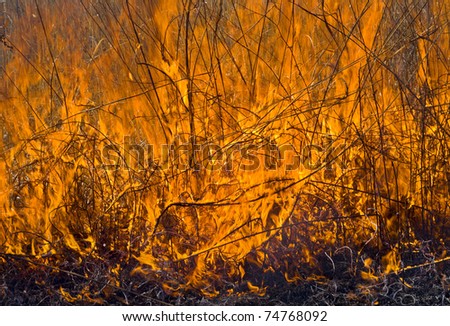 A close up of the flame of brushfire. Spring.