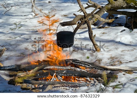A close up of the bonfire in winter forest.