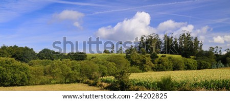 Summer country scene with hills and cultivated land