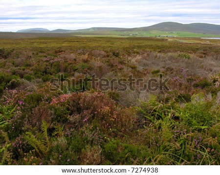 Beautiful landscape Orkney Islands Scotland