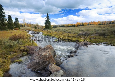 A creek winds through the autumn forest in Dixie National Forest, Utah.