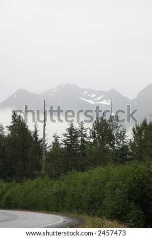 Forest and Mountains in Alaska