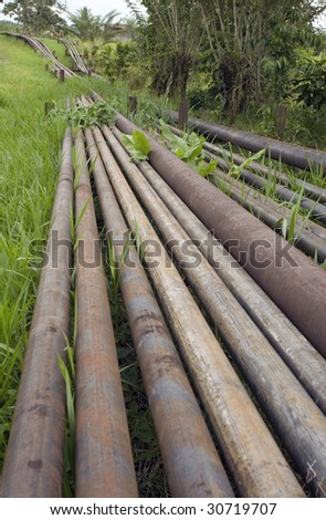 Flow lines transporting crude oil from oil wells in the Ecuadorian Amazon