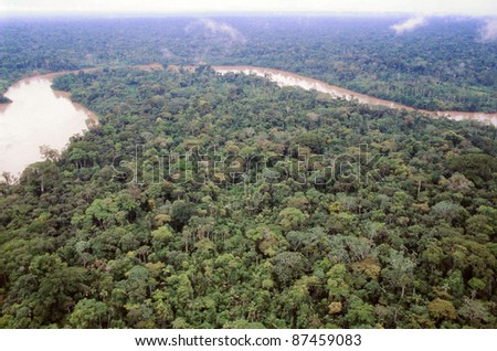 Primary rainforest viewed from the air with the Rio Aguarico in the background, Ecuador