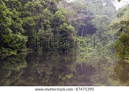 An oxbow lake (an old meander cut off from the main river) beside the rio Tiputini in the Ecuadorian Amazon