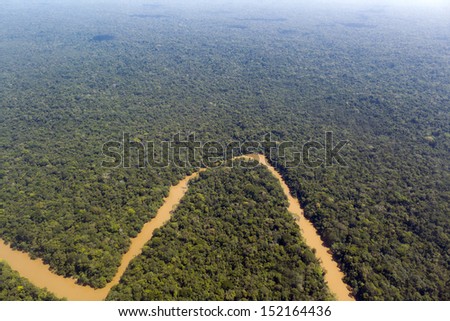 Pristine tropical rainforest in the Ecuadorian Amazon. The Rio Cononaco viewed from the air.