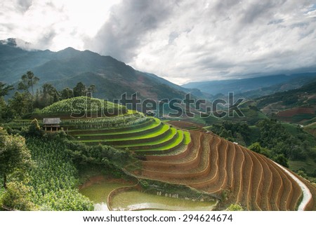Rice terraces field in Raining season.