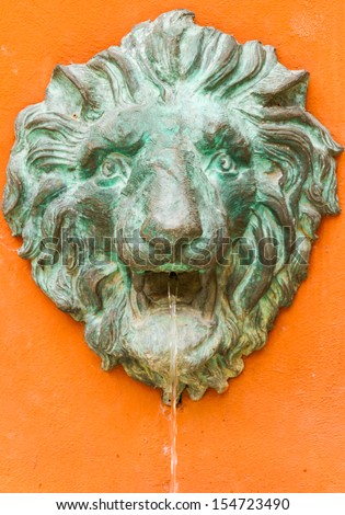 The lion face for decorate.