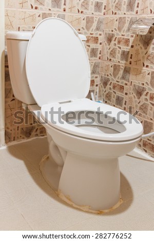 The sanitary ware white colour for decorate design project.