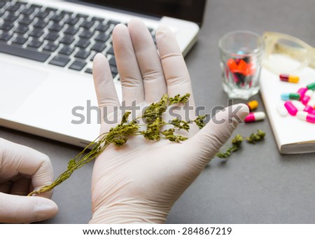 The science and researching herb for make medicine.