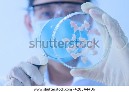 The scientist test in lab or science research with clean foods,science concept.Scientist work in process at laboratory,Science experiments and selective focus,Science laboratory test tubes.