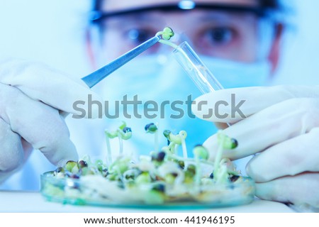 Scientist working,scientists working at the laboratory,scientist leaning against in laboratory,scientist background,female scientist looking in laboratory,scientists studying and selective focus.