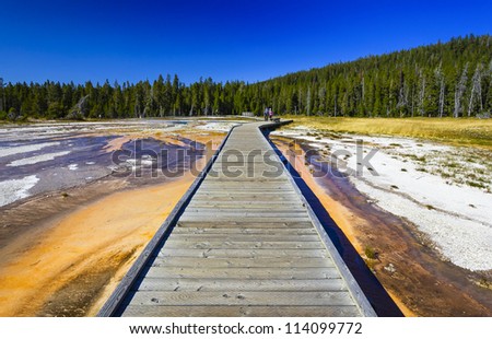 plank road in Yellowstone National Park