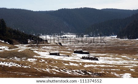 china travel grassland with melting snow in western china pudacuo national park, snow land background in shangri-la