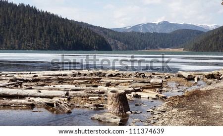 china travel lake with ice and flood wood, ice river background, western beautiful landscape in wide range at Pudacuo national park, Shangrila or Shangri La