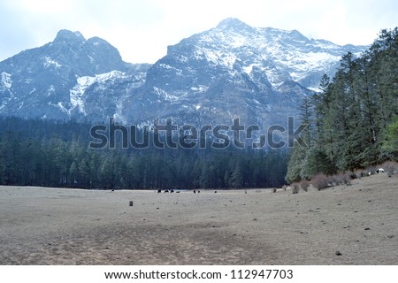 nature landscape mountain range in western china snow mountain and highland view in Jade Dragon Snow Mountain or Mount Yulong