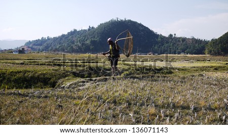 POKHARA, NEPAL- JANUARY 20:a man take a tool, cross the field in Pokhara on 20 Jan 2010.The agriculture is primitive, United Nations list Nepal as one of the Least developed country in the world