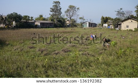 CHITWAN, NEPAL - JANUARY 21: unidentified farmer in the primitive settlement in Chitwan on 21 Jan 2010. The United Nations list Nepal as one of the Least developed country in the world