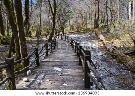 beautiful wood made path pass through the forest nobody in the cold winter, Yunnan china