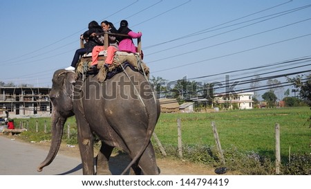 CHITWAN, NEPAL - JANUARY 22: elephant tour in Chitwan on 22 Jan 2010. The elephants are breed and trained in breeding Centre, developing the tourism also raising fund for elephant conservation