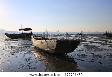 abaondoned Boat in Ha Pak Nai wetland , the oyster field scenes in hong kong