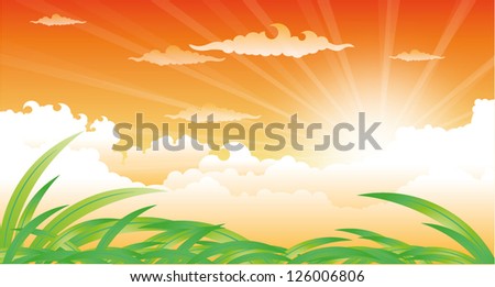 beautiful landscape with sunset and grass