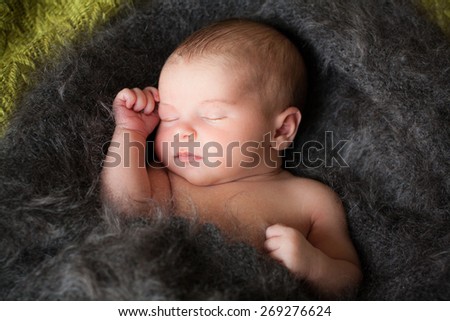 new born baby is sleeping in downy shawl, lying baby, eyes are closed
