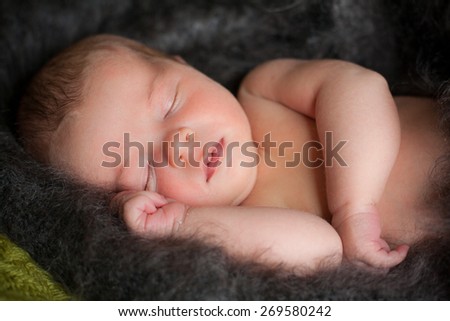 new born baby sleeping in grey downy shawl, closed eyes, face of newborn baby
