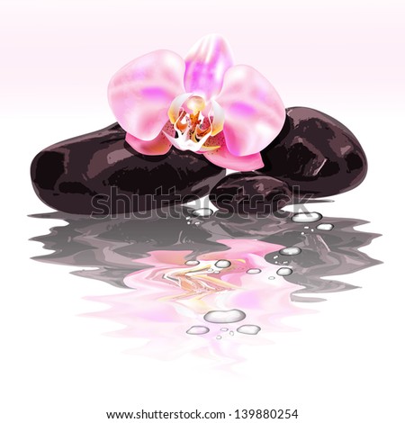 Spa stones and orchid. Raster version of vector illustration