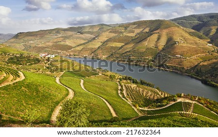 Beautiful Vineyards in Douro Valley, Portugal