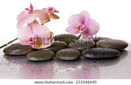 Spa stones and orchid flowers and black stones with reflection
