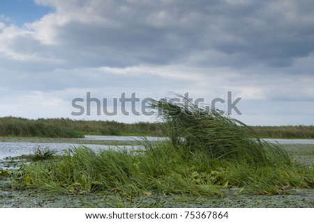 Storm in summer in Danube Delta