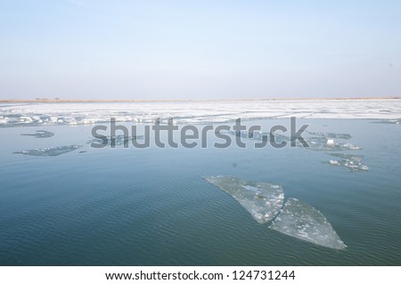 Danube Delta winter landscape