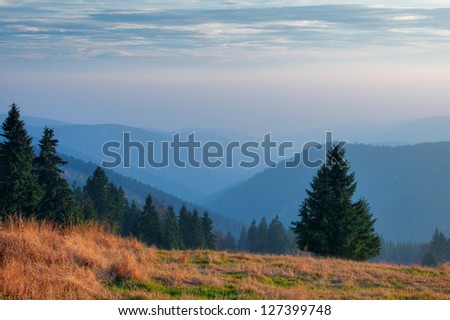 Mountain meadow in the early evening, coniferous forest, forested mountains from above lost in the misty horizons, soft light