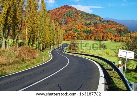 The empty road towards the wooded mountain flamboyant of colors autumn, from one side of the road alley