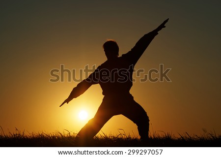 Silhouette of man with extended arms in a fighting stance on a grassy horizon against the setting sun.