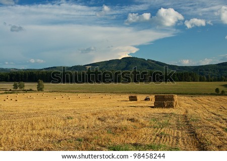 Corn Stubble