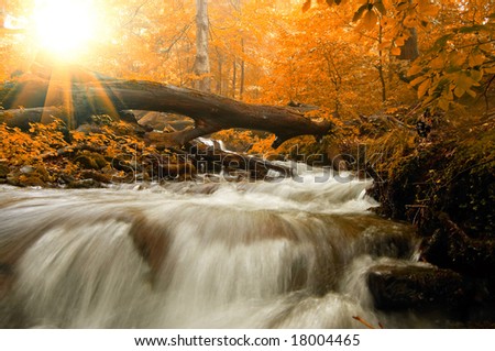 Autumn landscape with trees, river and sun