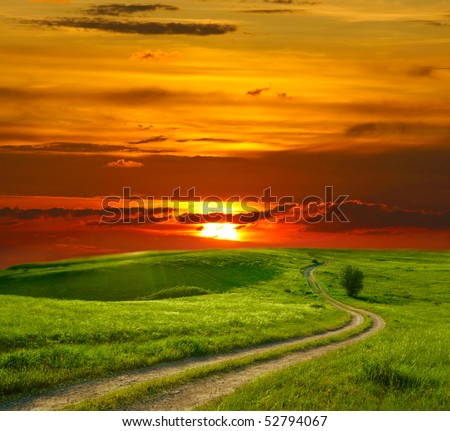 Summer landscape with green grass, road and sunset